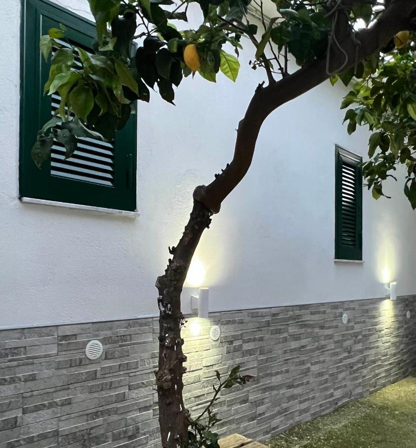 B&B Casa Vacanze Nonna Clara Naples Extérieur photo